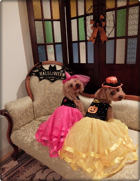 DSCF6130.jpg