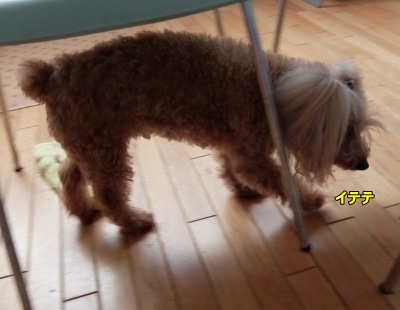 DSCF6178.jpg