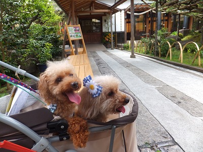 DSCF6195.jpg
