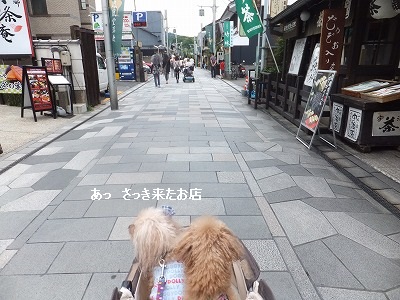 DSCF6240.jpg