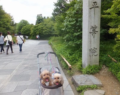 DSCF6249.jpg
