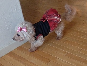 DSCF6284.jpg
