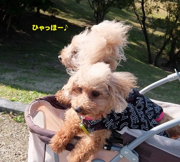 DSCF6295.jpg