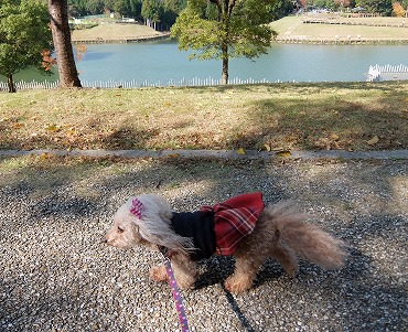 DSCF6351.jpg