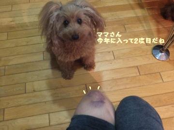 DSCF63571.jpg