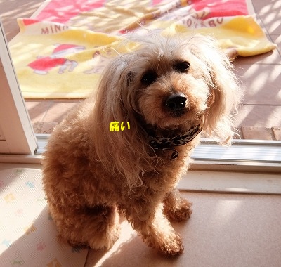 DSCF6382.jpg