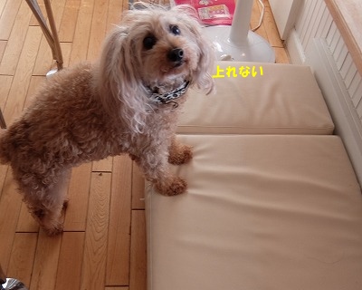 DSCF6385.jpg