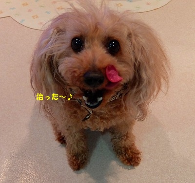 DSCF6414.jpg
