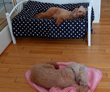 DSCF6418.jpg
