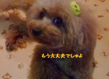 DSCF6441.JPG