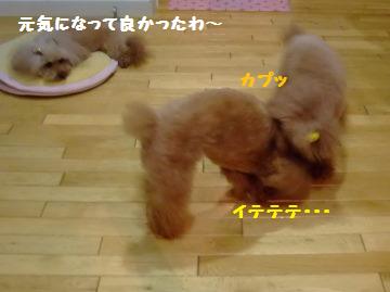 DSCF6457.JPG