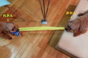 DSCF6478.jpg
