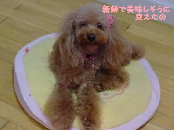 DSCF6483.JPG