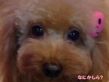 DSCF6484.JPG