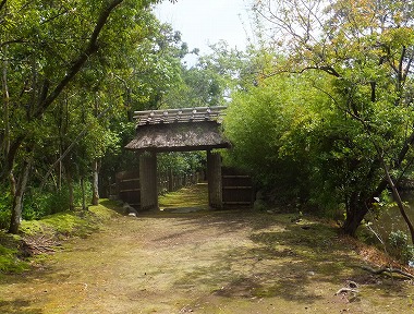 DSCF6484.jpg