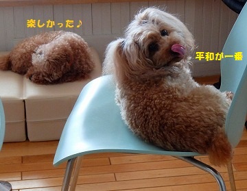 DSCF64971.jpg