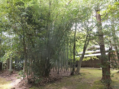 DSCF6499.jpg