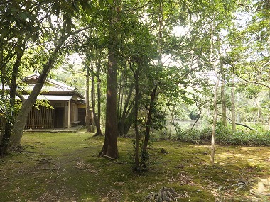 DSCF6511.jpg