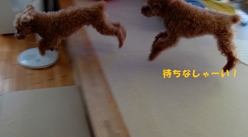 DSCF65451.jpg