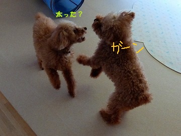 DSCF65571.jpg