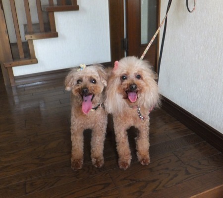 DSCF6571.jpg
