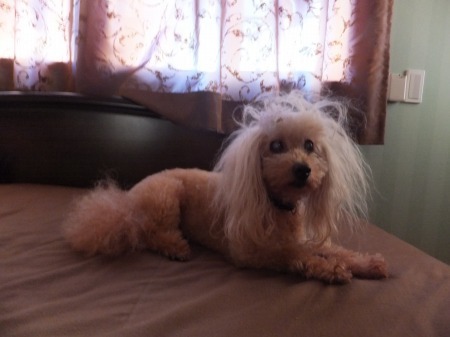 DSCF6620.jpg
