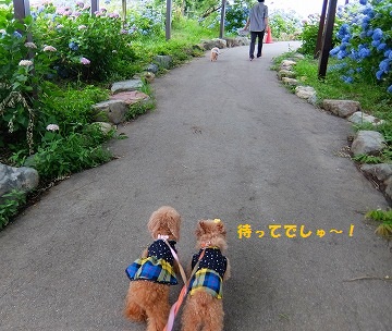 DSCF6632.jpg