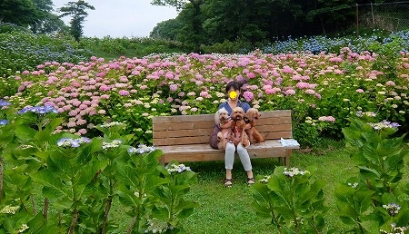DSCF6638.jpg