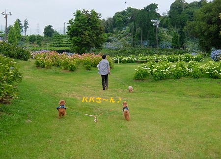 DSCF6658.jpg