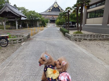 DSCF6716.jpg