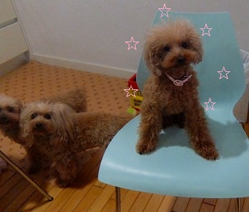 DSCF6721.jpg