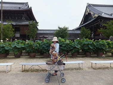 DSCF6721.jpg