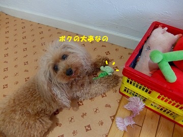 DSCF6729.jpg