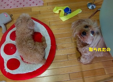 DSCF6740.jpg