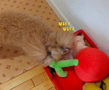 DSCF6747.jpg