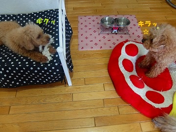 DSCF6754.jpg
