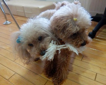 DSCF6777.jpg