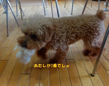 DSCF6779.jpg