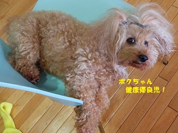 DSCF6790.jpg