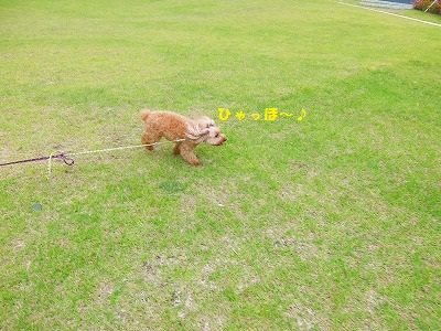 DSCF6901.jpg