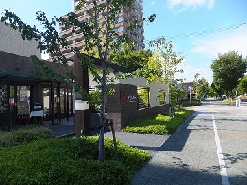 DSCF6929.jpg