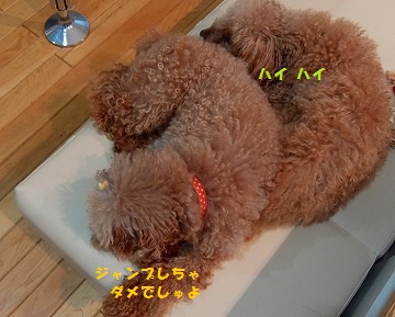 DSCF6941.jpg