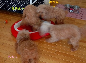 DSCF6964.jpg