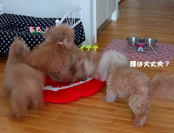 DSCF6969.jpg