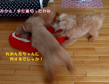 DSCF6981.jpg