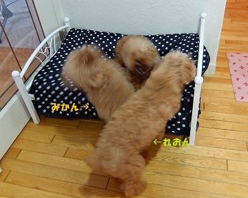DSCF7108.jpg