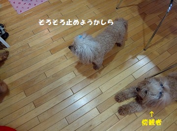 DSCF7116.jpg