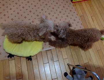 DSCF7130.jpg