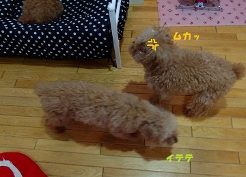 DSCF7143.jpg
