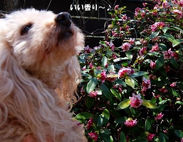 DSCF7194.jpg